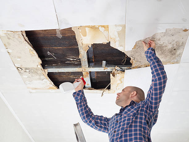 Best Mold Prevention Services  in Kensett, AR